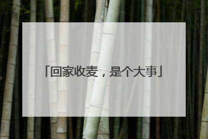 回家收麦，是个大事
